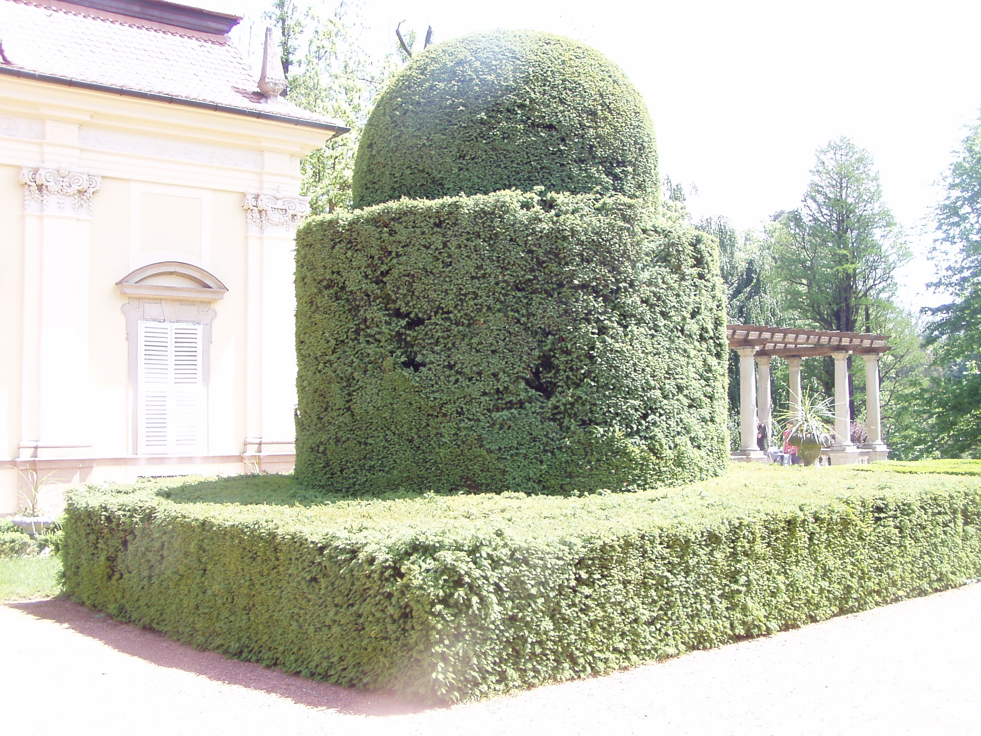Buchlovice-rododen_2008_04.JPG