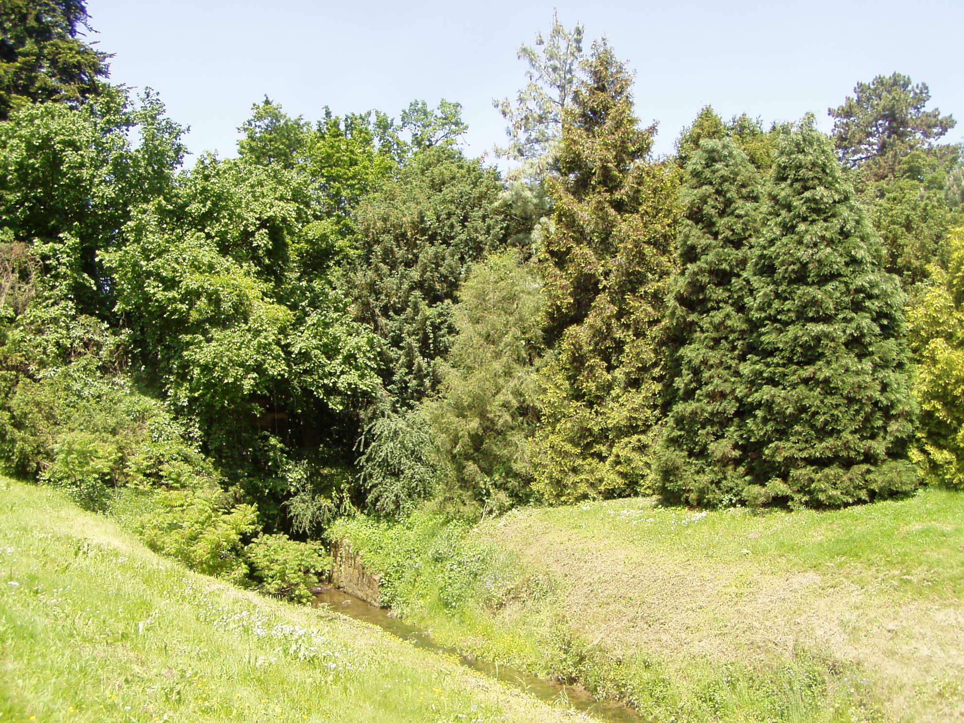 Buchlovice-rododen_2008_10.JPG