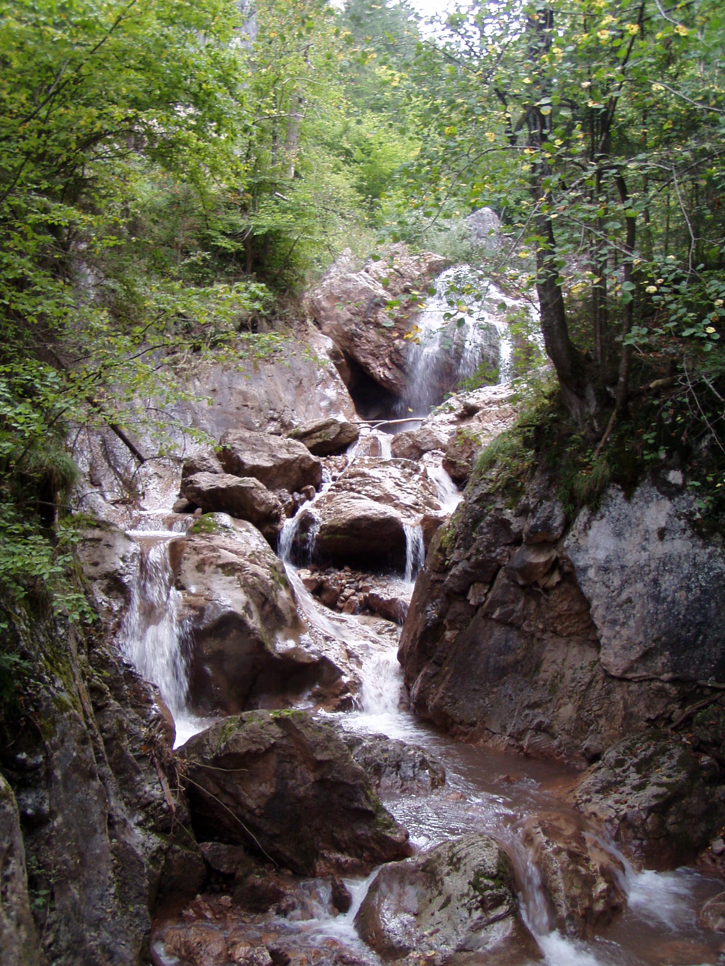 Medv_soutěska_2005_007.JPG