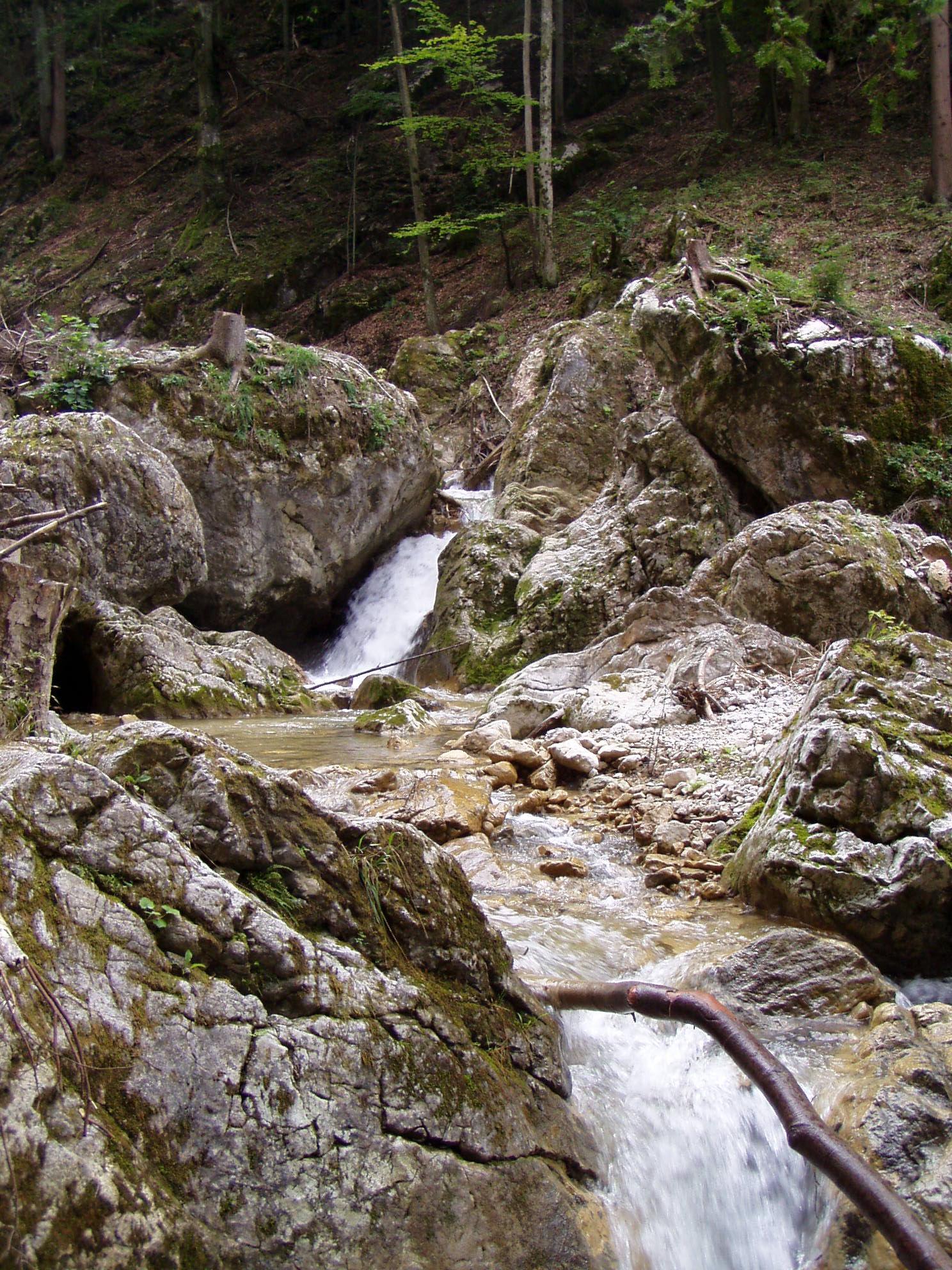 Medv_soutěska_2005_009.JPG